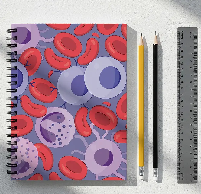 2D Blood Cells Notebook