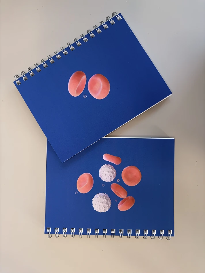 3D Blood Cells Notebook — Image 2