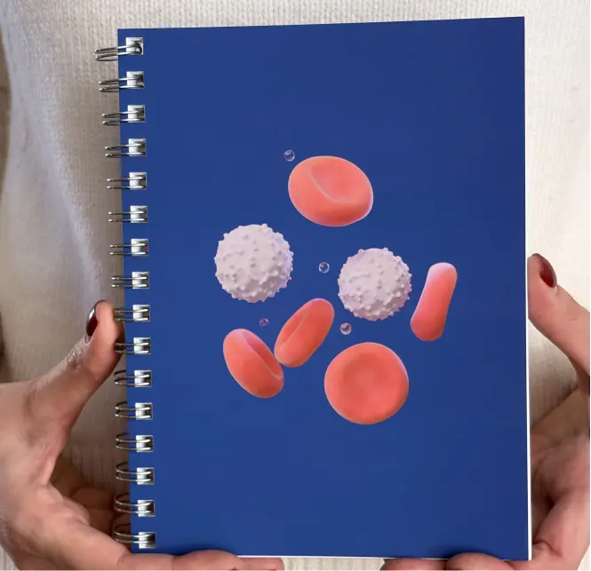 3D Blood Cells Notebook